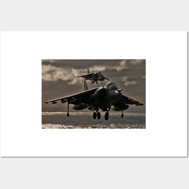 Hovering Harrier Wall Art by captureasecond